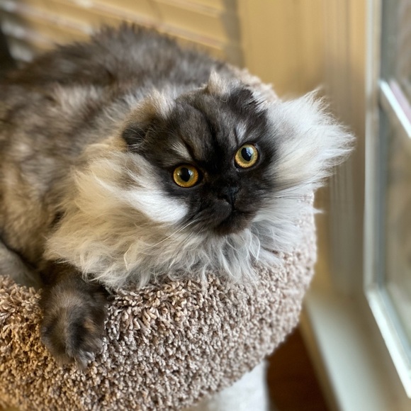 BUY MY TRASH! - Picture 11 of 16